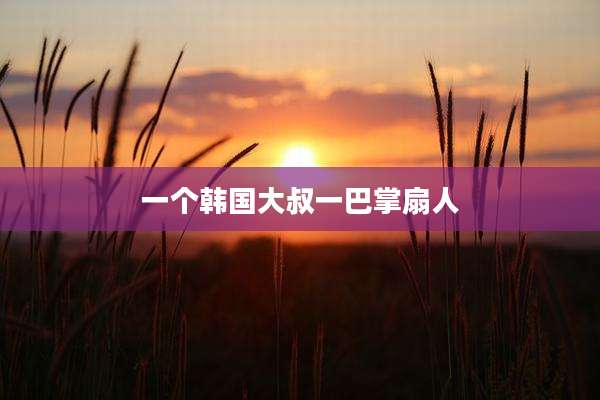 一个韩国大叔一巴掌扇人