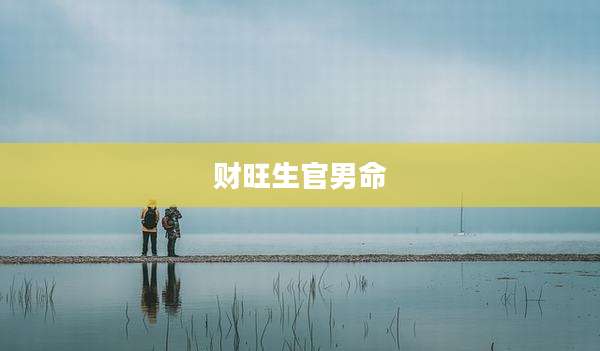 财旺生官男命