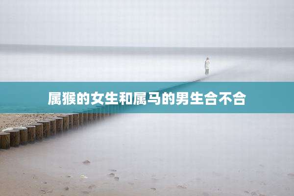 属猴的女生和属马的男生合不合