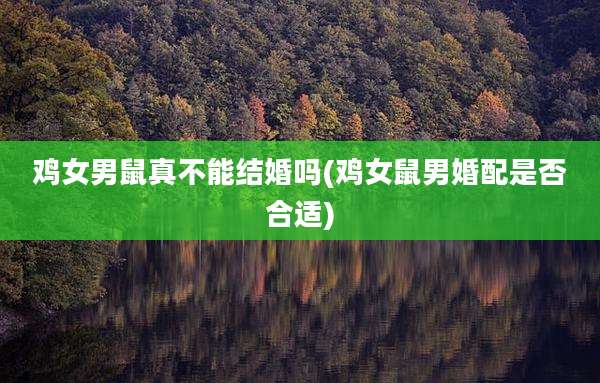 鸡女男鼠真不能结婚吗(鸡女鼠男婚配是否合适)