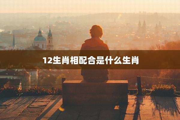 12生肖相配合是什么生肖