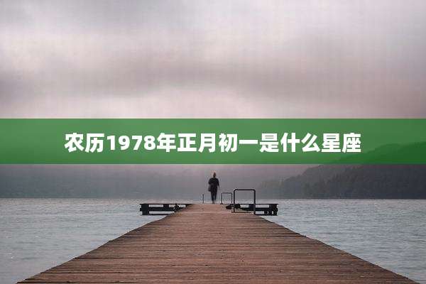 农历1978年正月初一是什么星座