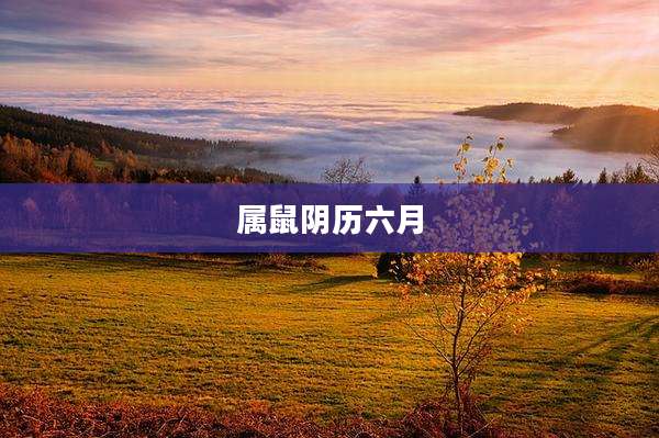 属鼠阴历六月