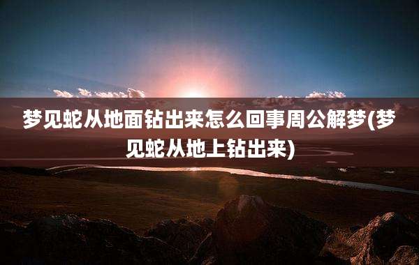 梦见蛇从地面钻出来怎么回事周公解梦(梦见蛇从地上钻出来)