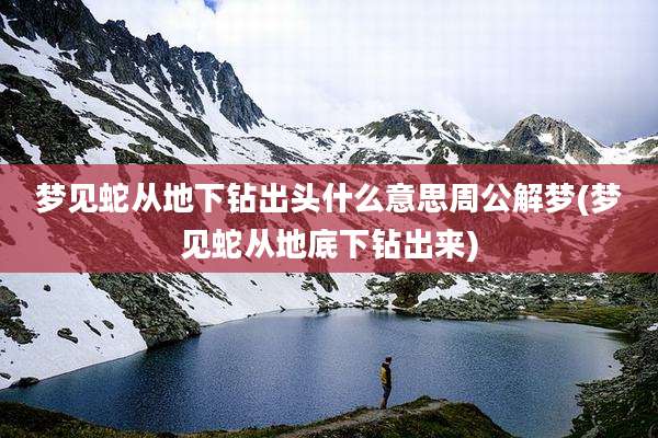 梦见蛇从地下钻出头什么意思周公解梦(梦见蛇从地底下钻出来)