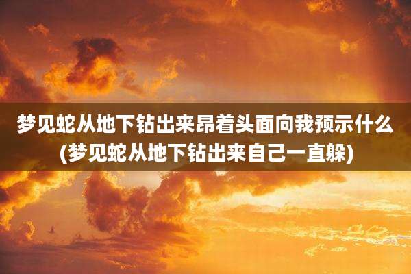 梦见蛇从地下钻出来昂着头面向我预示什么(梦见蛇从地下钻出来自己一直躲)