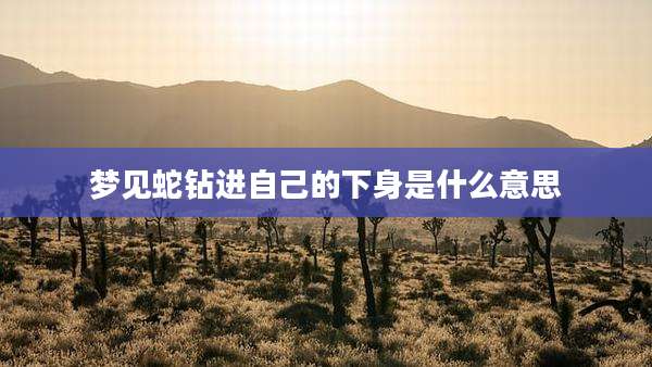 梦见蛇钻进自己的下身是什么意思