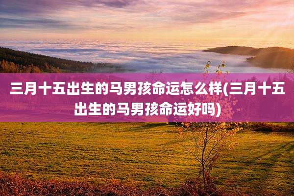 三月十五出生的马男孩命运怎么样(三月十五出生的马男孩命运好吗)