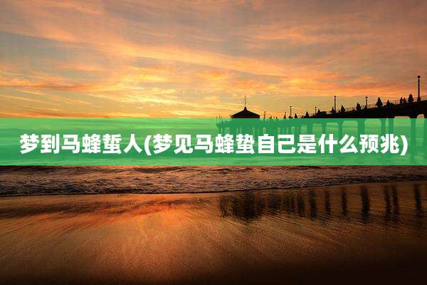 梦到马蜂蜇人(梦见马蜂蛰自己是什么预兆)