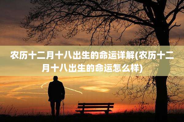 农历十二月十八出生的命运详解(农历十二月十八出生的命运怎么样)