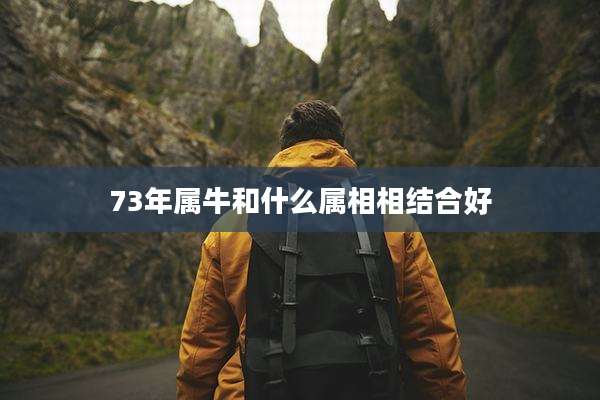 73年属牛和什么属相相结合好