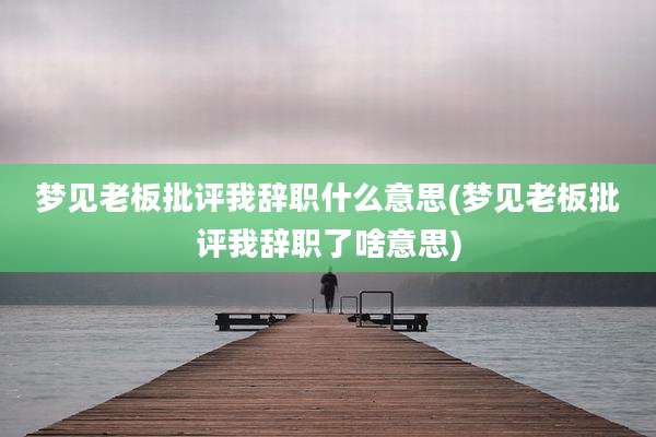 梦见老板批评我辞职什么意思(梦见老板批评我辞职了啥意思)