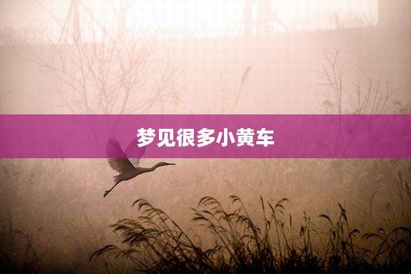 梦见很多小黄车