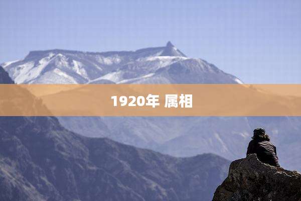 1920年 属相