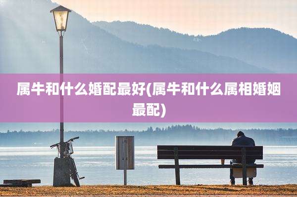 属牛和什么婚配最好(属牛和什么属相婚姻最配)
