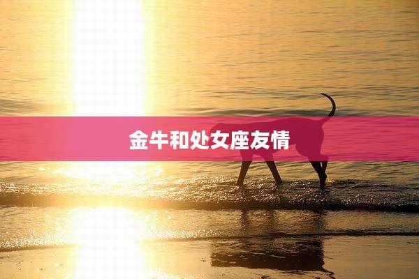 金牛和处女座友情