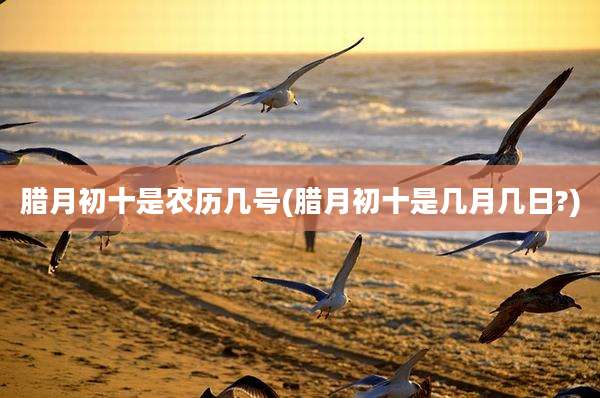 腊月初十是农历几号(腊月初十是几月几日?)