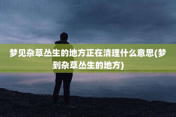 梦见杂草丛生的地方正在清理什么意思(梦到杂草丛生的地方)
