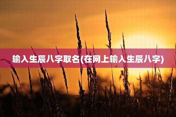 输入生辰八字取名(在网上输入生辰八字)