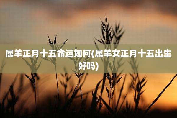 属羊正月十五命运如何(属羊女正月十五出生好吗)