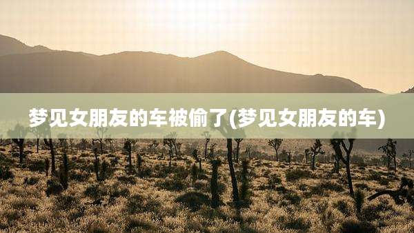 梦见女朋友的车被偷了(梦见女朋友的车)