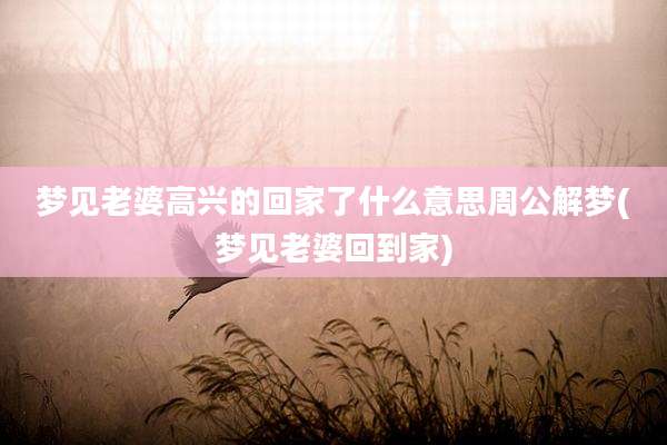 梦见老婆高兴的回家了什么意思周公解梦(梦见老婆回到家)
