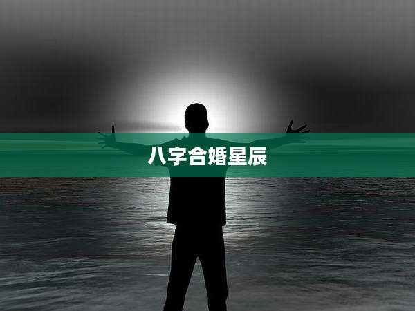八字合婚星辰