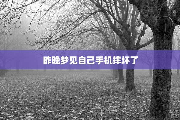 昨晚梦见自己手机摔坏了