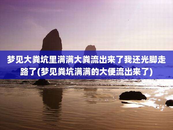 梦见大粪坑里满满大粪流出来了我还光脚走路了(梦见粪坑满满的大便流出来了)