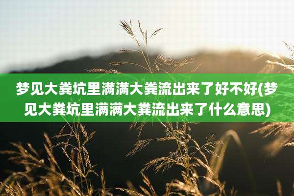 梦见大粪坑里满满大粪流出来了好不好(梦见大粪坑里满满大粪流出来了什么意思)