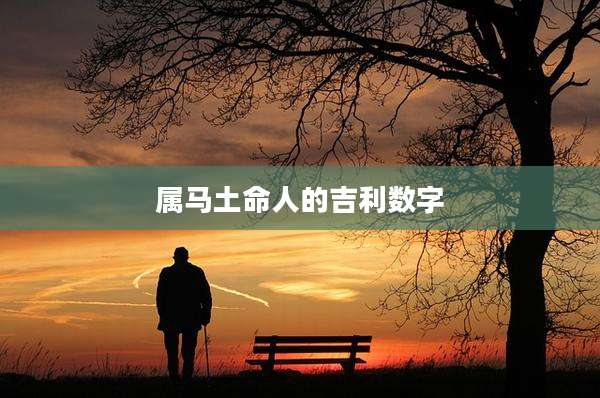 属马土命人的吉利数字