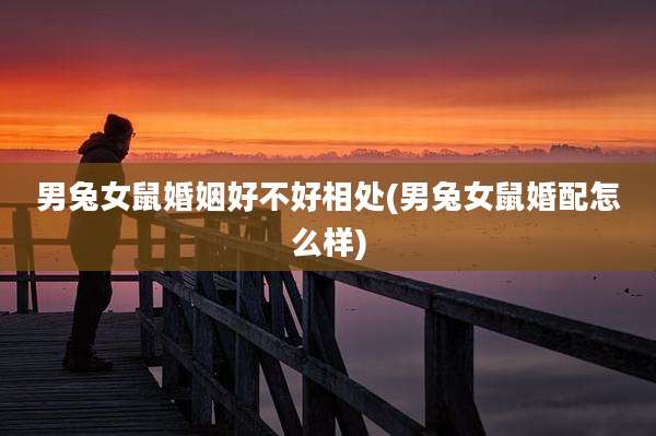 男兔女鼠婚姻好不好相处(男兔女鼠婚配怎么样)