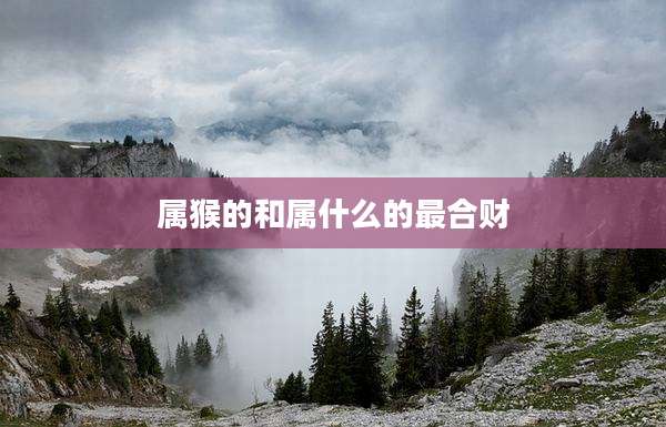 属猴的和属什么的最合财
