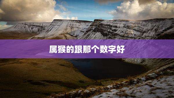 属猴的跟那个数字好