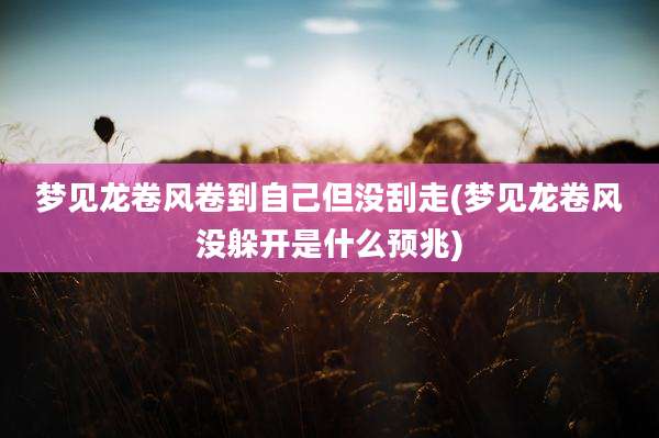 梦见龙卷风卷到自己但没刮走(梦见龙卷风没躲开是什么预兆)
