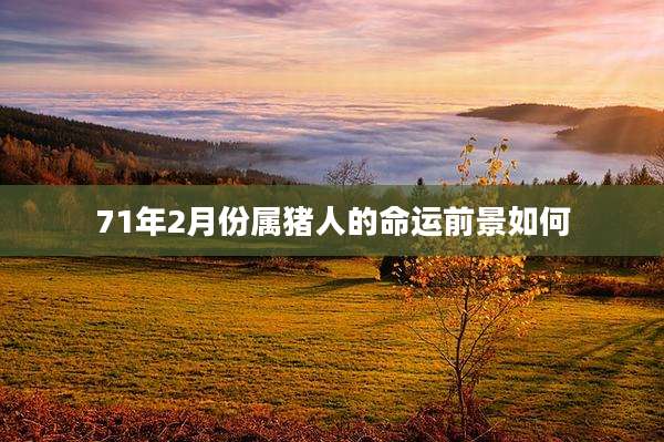 71年2月份属猪人的命运前景如何
