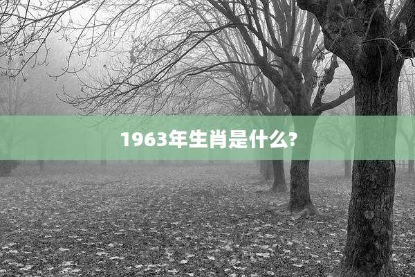 1963年生肖是什么?