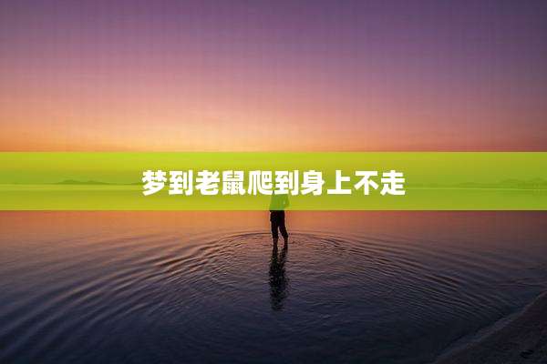 梦到老鼠爬到身上不走