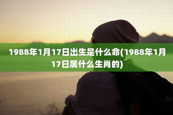 1988年1月17日出生是什么命(1988年1月17日属什么生肖的)