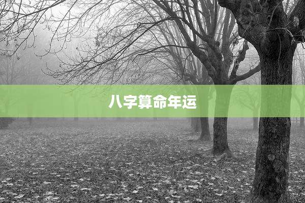 八字算命年运