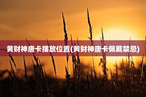 黄财神唐卡摆放位置(黄财神唐卡佩戴禁忌)