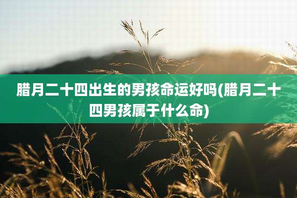 腊月二十四出生的男孩命运好吗(腊月二十四男孩属于什么命)