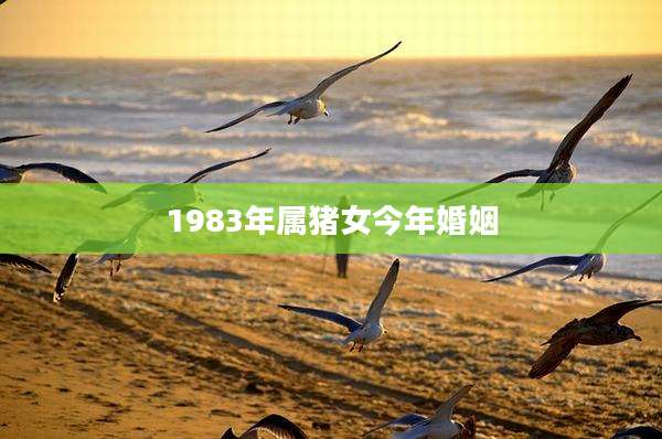 1983年属猪女今年婚姻