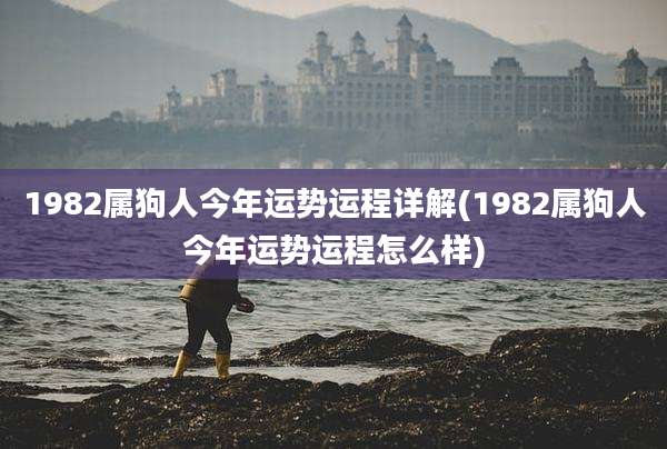 1982属狗人今年运势运程详解(1982属狗人今年运势运程怎么样)