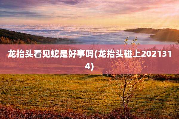 龙抬头看见蛇是好事吗(龙抬头碰上2021314)