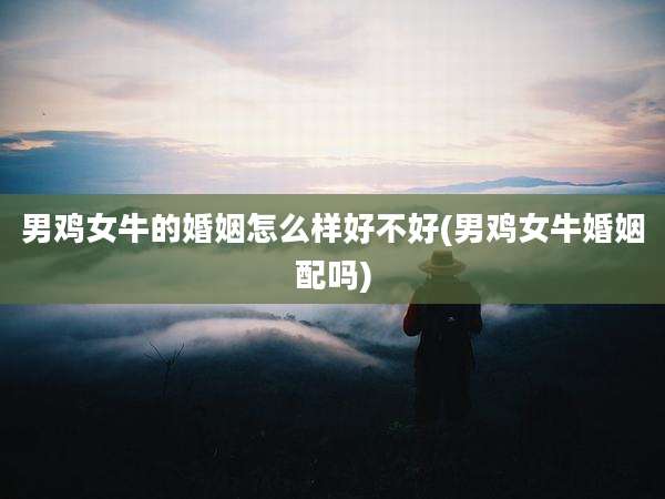男鸡女牛的婚姻怎么样好不好(男鸡女牛婚姻配吗)
