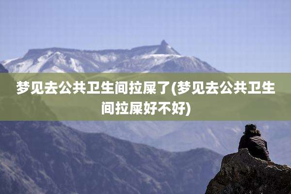 梦见去公共卫生间拉屎了(梦见去公共卫生间拉屎好不好)