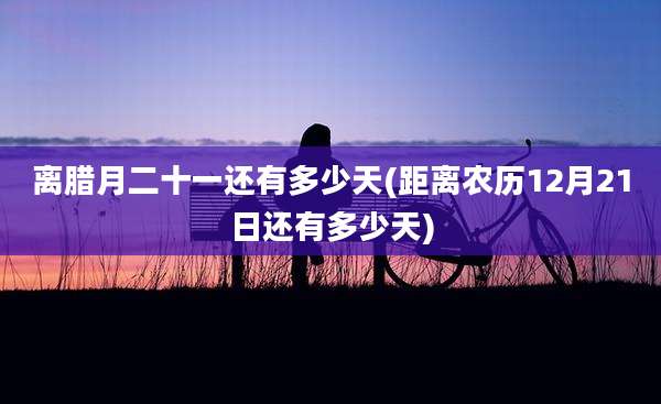 离腊月二十一还有多少天(距离农历12月21日还有多少天)