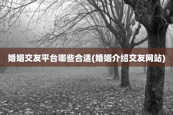 婚姻交友平台哪些合适(婚姻介绍交友网站)