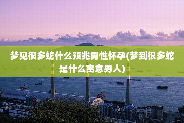 梦见很多蛇什么预兆男性怀孕(梦到很多蛇是什么寓意男人)